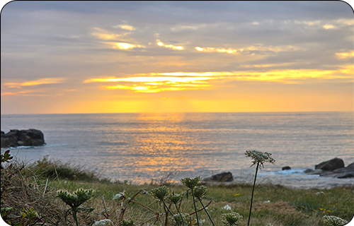 Guernsey Payroll Dashboard